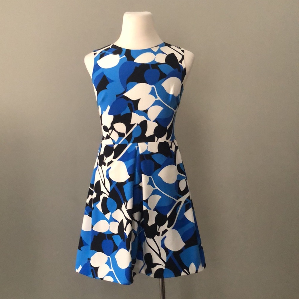 Taylor Floral Blue Fit and Flare Dress NWOT